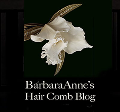 Barbaraanne's Hair Comb Blog